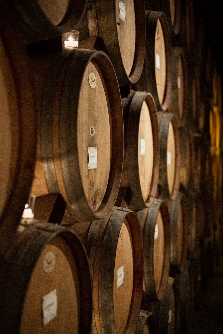 Vignobles et gourmandises