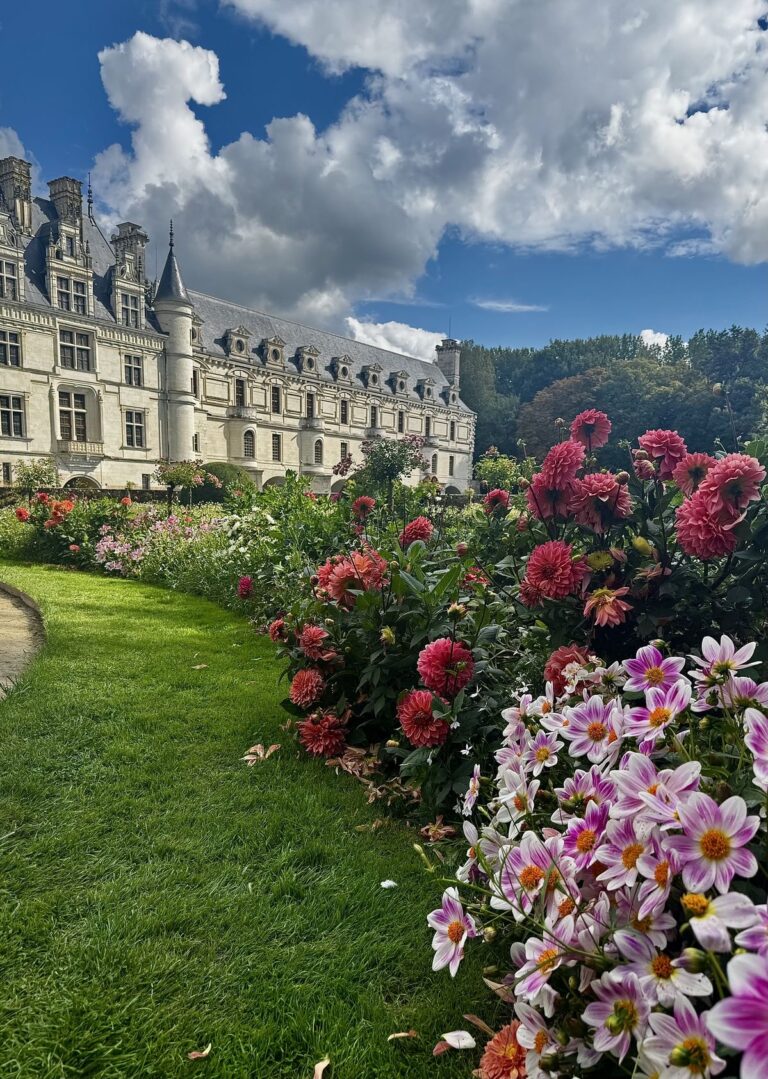 Route de la rose