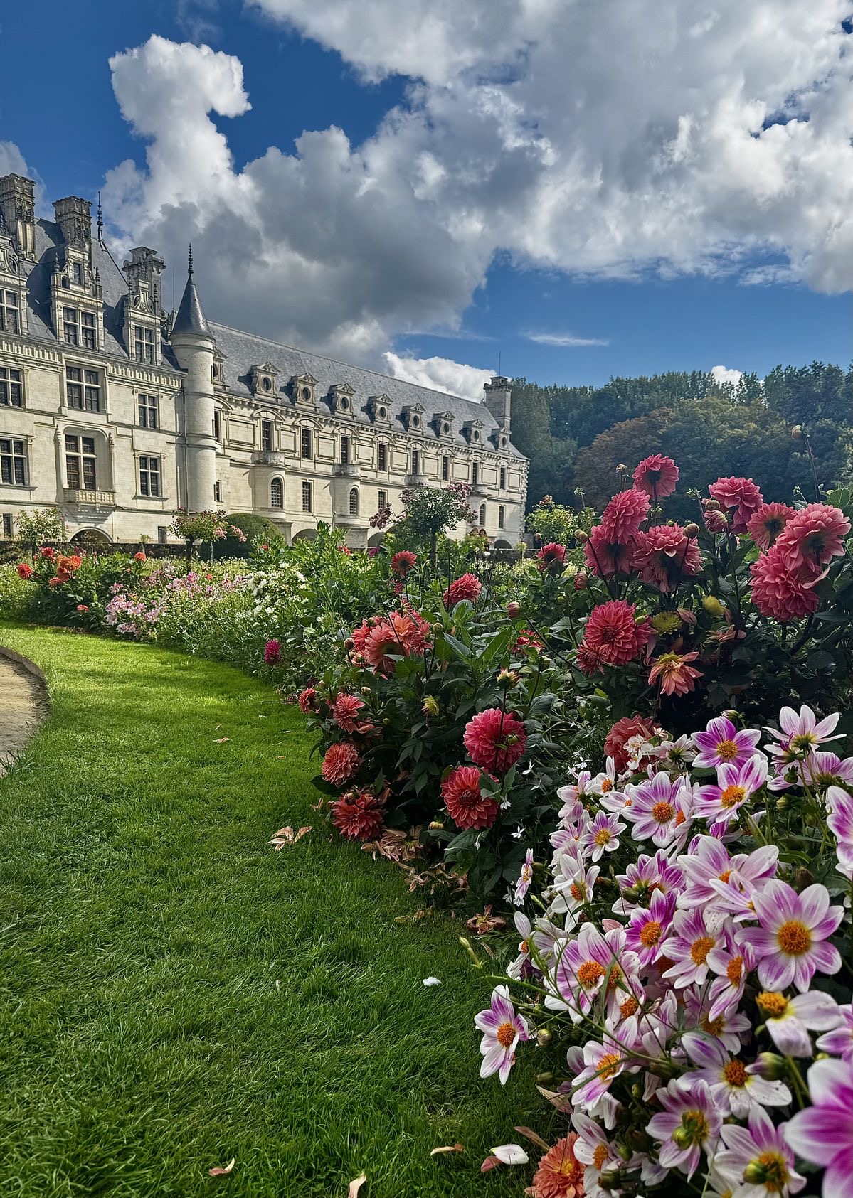 Route de la rose