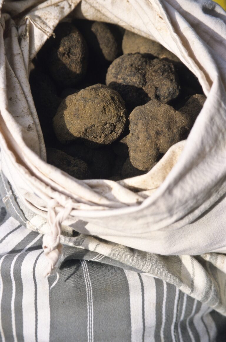 Le Diamant Noir de la Loire